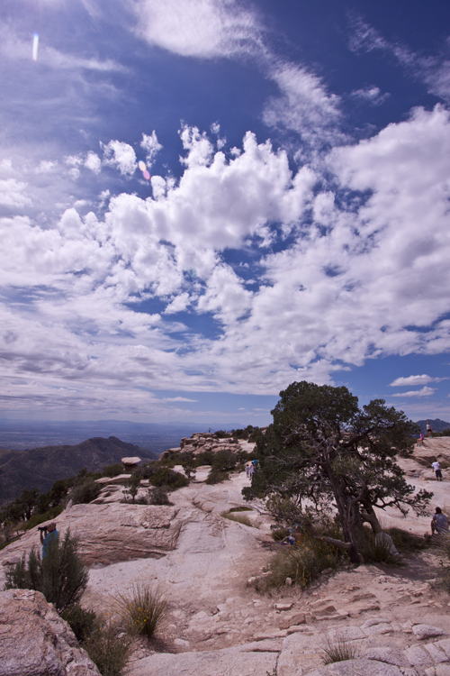 mtlemmon_vista.jpg