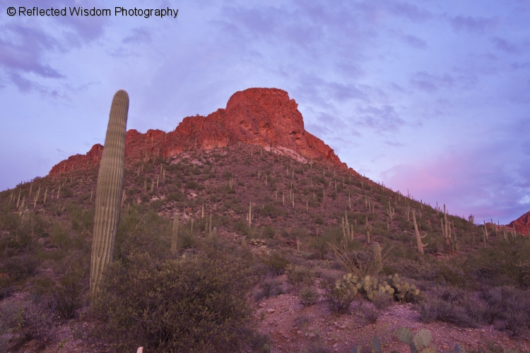 tucson_mts.jpg