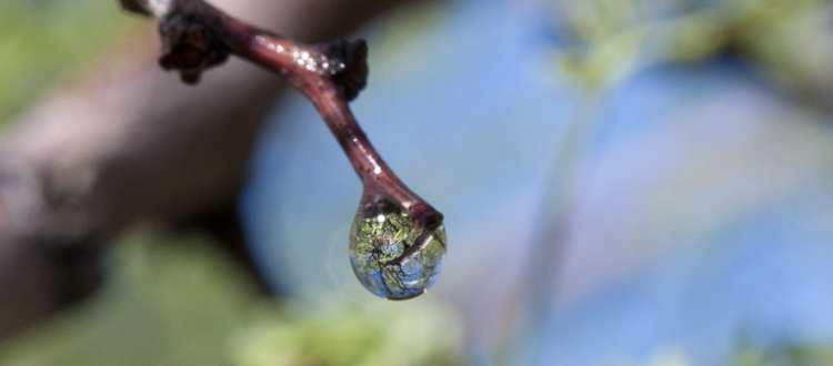 droplet.jpg