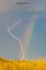 Thumbnail of LR5_1398-2.jpg